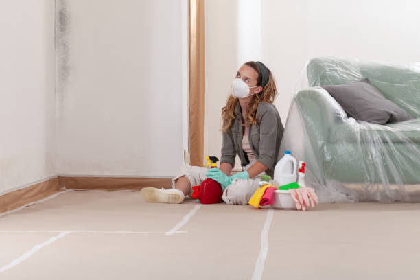 Reliable Black Mold Remediation contractor in Onancock, VA by 24 Hour Mold Removal